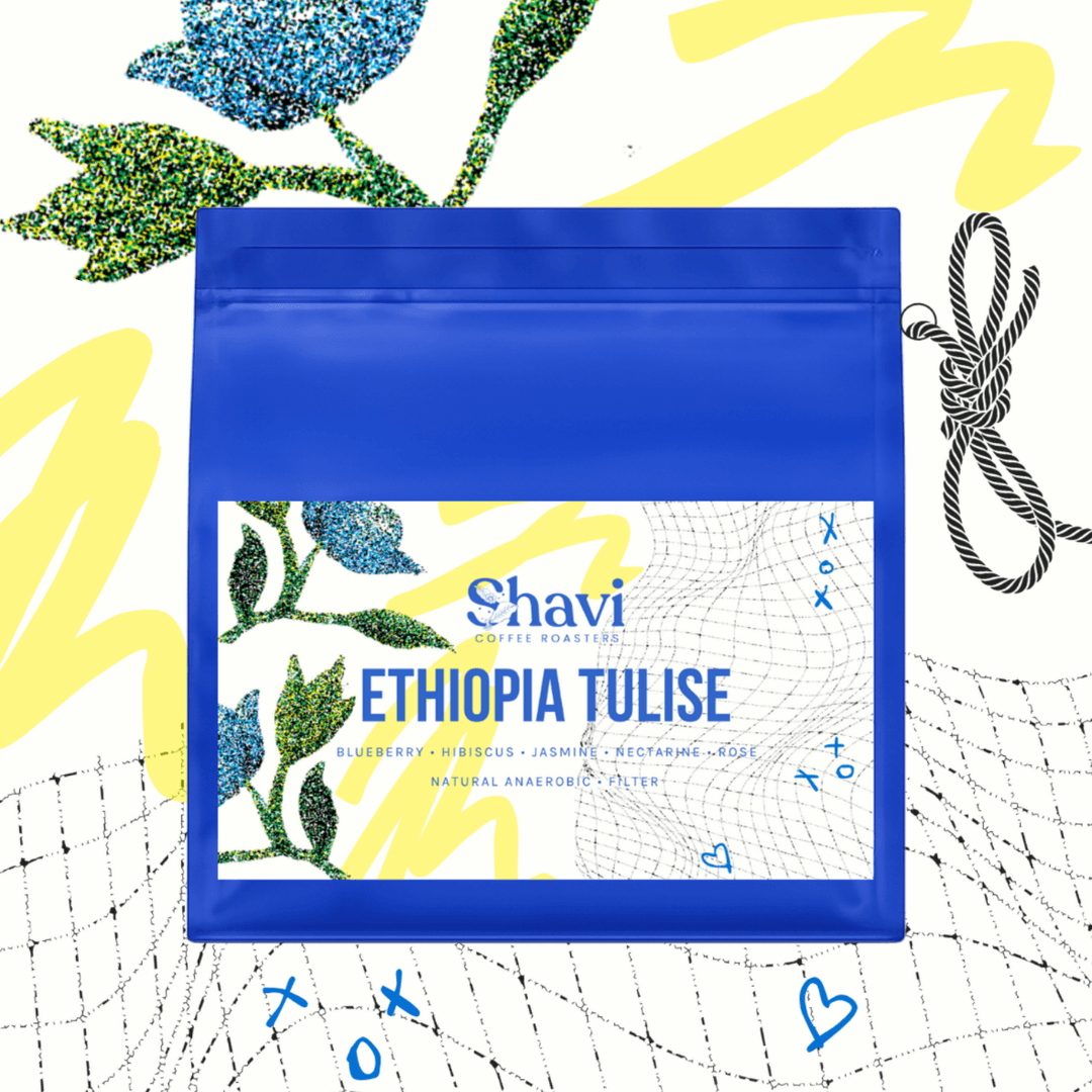 Ethiopia Tulise Natural Anaerobic Filter